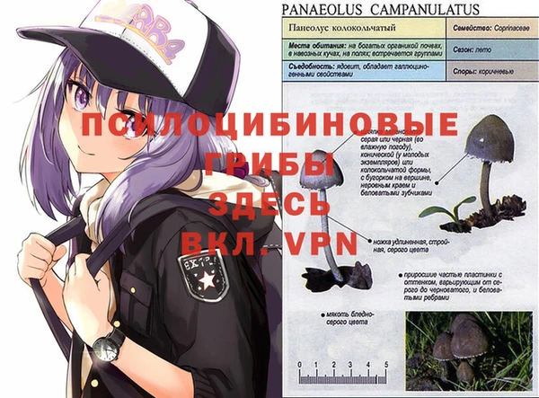 2c-b Няндома
