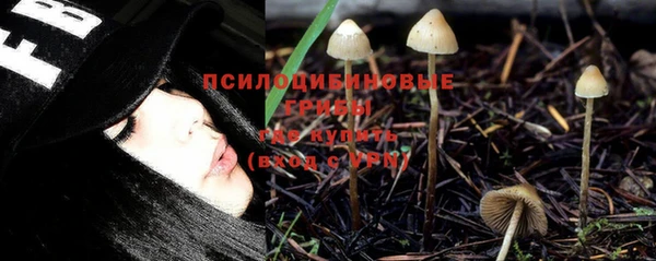 2c-b Няндома