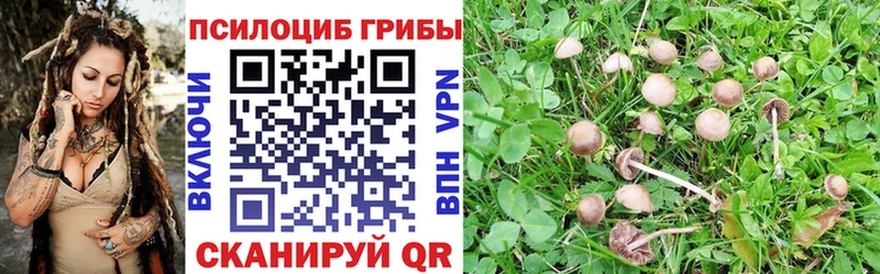 shop Telegram  хочу   Ступино  Галлюциногенные грибы Magic Shrooms 