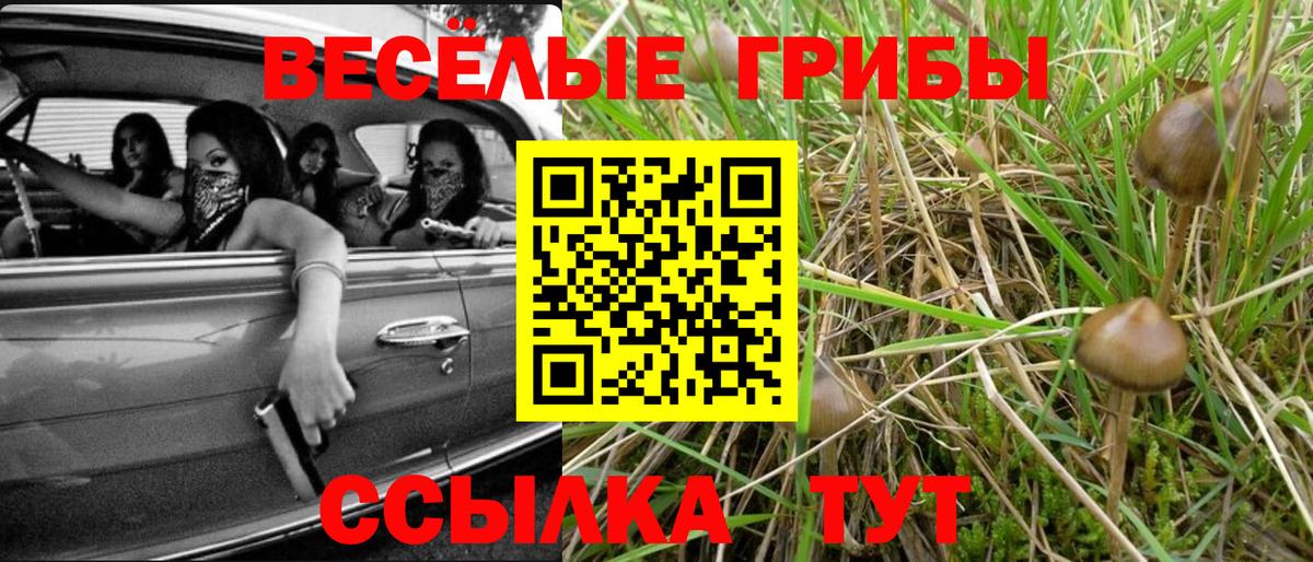 Ступино  Галлюциногенные грибы Magic Shrooms  Вход с VPN 