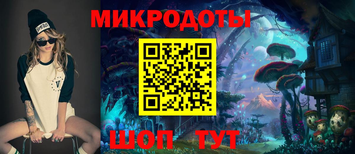 ГАШ Ступино